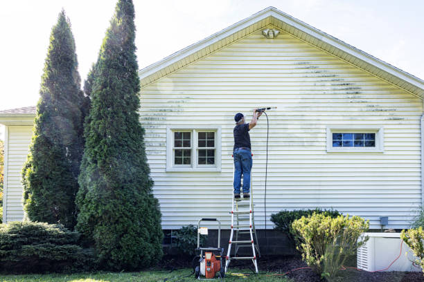 Best Pressure Washing Company Near Me  in Emerald Bay, TX