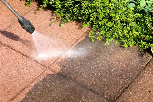 Best Pressure Washing Company Near Me  in Emerald Bay, TX